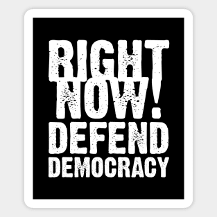Democrats: Right Now!  Defend Democracy Magnet